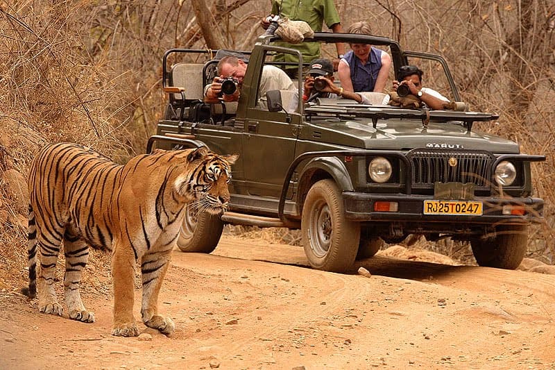 Ranthambore National Park, Rajasthan
