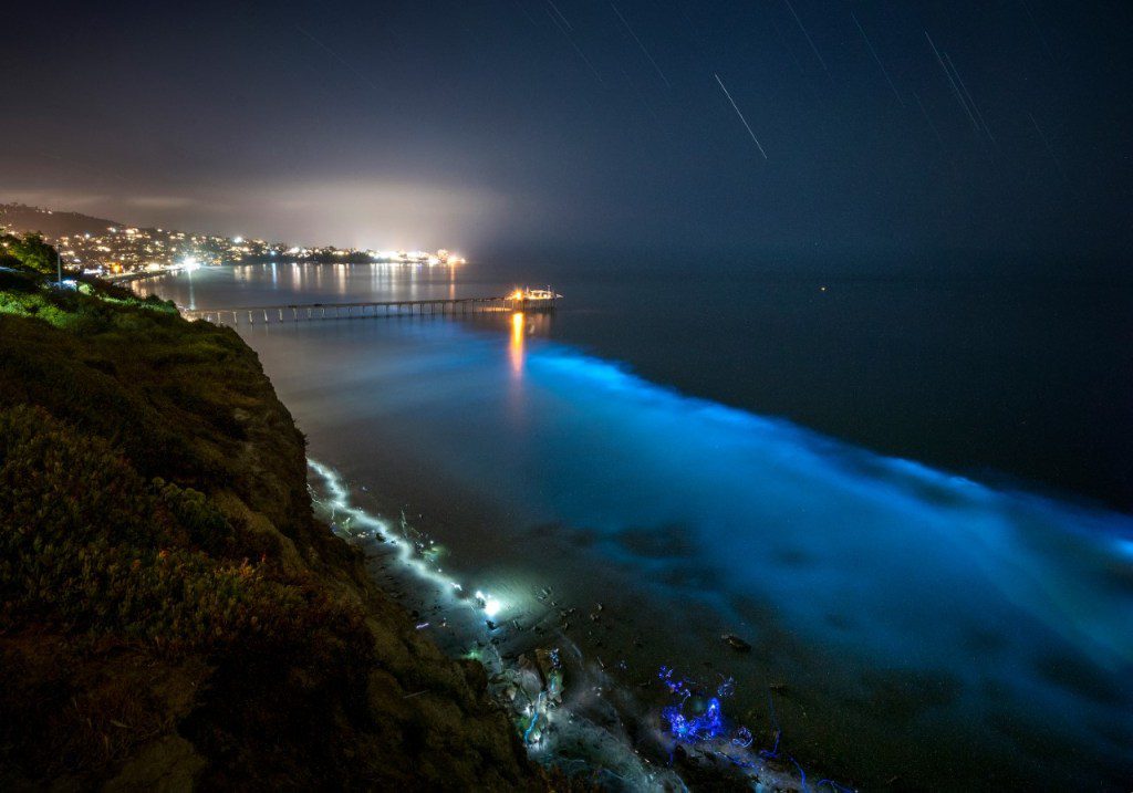 San Diego, USA