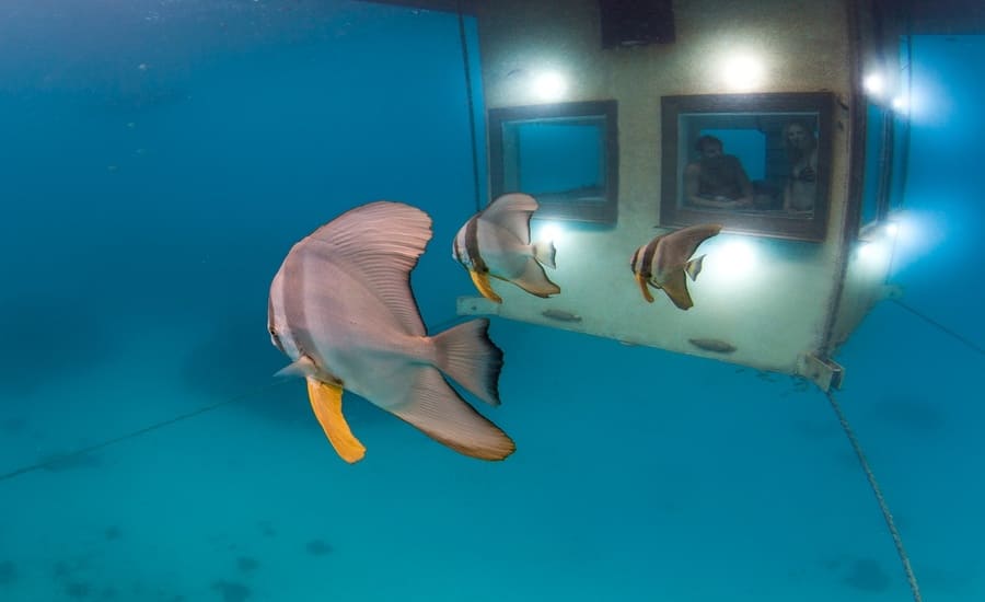 The Underwater Room (Zanzibar)