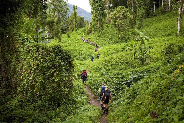 The World’s Most Dangerous Hikes (Only for the Brave)
